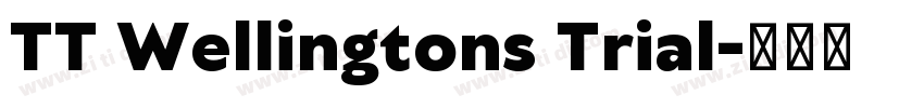 TT Wellingtons Trial字体转换
